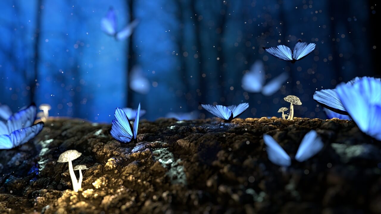 sueño, insomnio, pesadillas